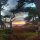 Image for article titled Shooting Challenge Sunset Gallery 2